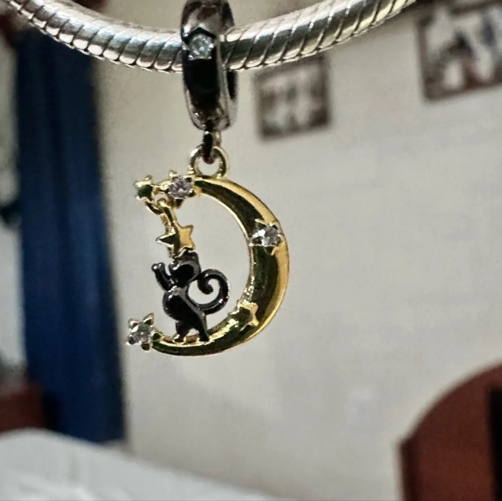 Cat above the moon Charm